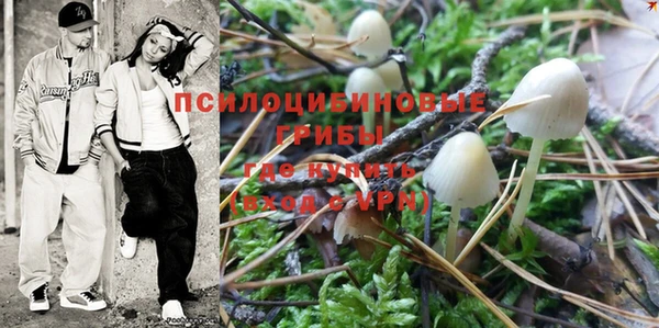 мескалин Мегион