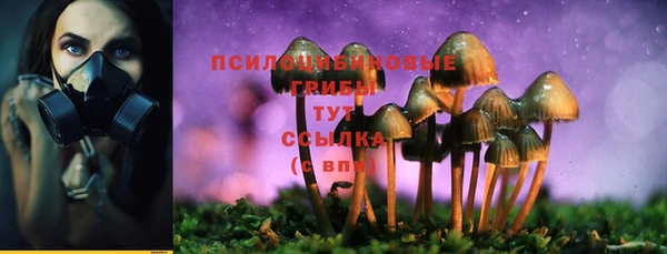 мескалин Мегион
