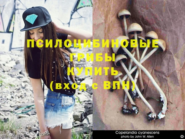 мескалин Мегион