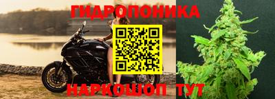 мяу мяу мука Абинск