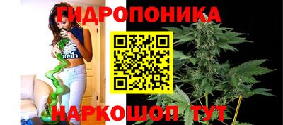 гидропоника Абинск