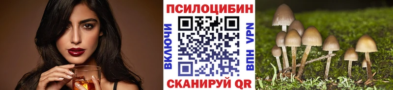 Галлюциногенные грибы Psilocybine cubensis  сколько стоит  Амурск 
