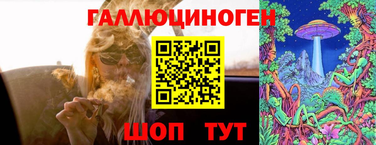 Псилоцибиновые грибы Cubensis  Галлюциногенные грибы мицелий  Вход с VPN  Амурск 